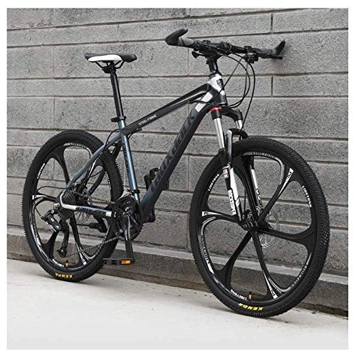 Mountainbike : TYXTYX Outdoor-Sport 21-Gang-Mountainbike 26-Zoll-6-Speichen-Rad Vorderradaufhängung Doppelscheibenbremse MTB-Fahrrad, grau