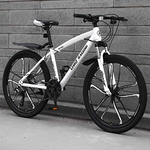 Mountainbike : WJSW Adult Mountainbike, Beach-Fahrrad mit hohem Kohlenstoffstahlrahmen, Offroad-Snowbikes mit Doppelscheibenbremse, integrierte 26-Zoll-Zehnmesser-Mium-Leichtmetallräder
