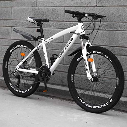 Mountainbike : WJSW Adult Mountainbike, Strandrad mit hohem Kohlenstoffstahlrahmen, Offroad-Snowbikes mit Doppelscheibenbremse, 24-Zoll-Räder aus Aluminiumlegierung