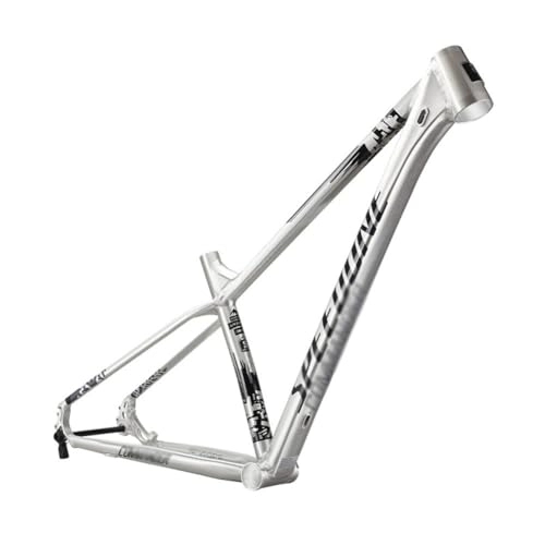 Cuadros de bicicleta de montaña : ZFF 29er Cuadro De Bicicleta De Montaña Aleación De Aluminio Hardtail Cuadro MTB Eje Pasante 12 * 142mm Freno De Disco Cuadro XC Enrutamiento Interno (Color : Silver, Size : L / Large)