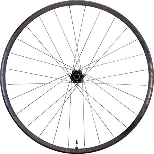 Ruedas de bicicleta de montaña : RaceFace aeffect-Plus Rueda Delantera combinada, Aeffect-Plus, Negro, 15 x 110 mm