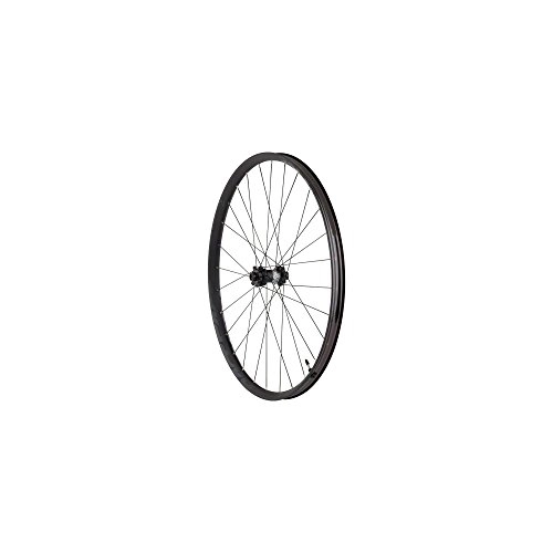 Ruedas de bicicleta de montaña : Raceface aeffect-r 30Rueda Delantera combinada, Aeffect-R 30, Negro, 15 x 110 mm
