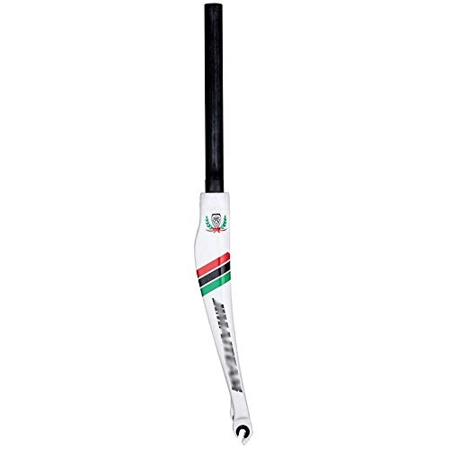 Mountain Bike Fork : FWC 700C Bicycle Fork, Mountain Bike Fork Mtb Forks Straight Tube / Carbon Fiber / Vertical Tube 28.6Mm * 300Mm / Open File 100Mm / Glossy Whiteit Appearance