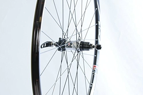 Mountain Bike Wheel : 29er (622 x 20 ) DT SWISS XR 1501 SPLINE1 MTB REAR WHEEL XD HUB DRIVE QUICK RELEASE REALLY LOW PRICE