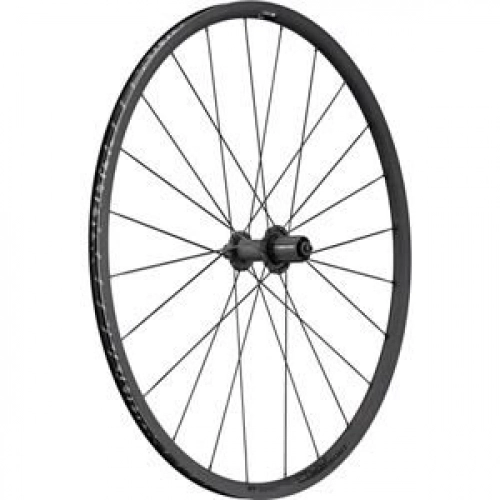 Mountain Bike Wheel : DT Swiss Unisex's WHDTPR1401R Bike Parts, Standard, Rear-21 mm Aluminium Clincher