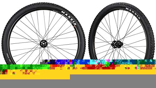 Mountain Bike Wheel : WTB Mountain Bike Bicycle Tubeless 29er Wheelset + Tires 15mm Front 12mm Rear