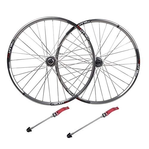 Mountain Bike Wheel : ZNND 26 Inch Silver Wheelset, Mountain Bike Disc Brake Wheel Polished Flat Spokes Alloy Hub Quick Release