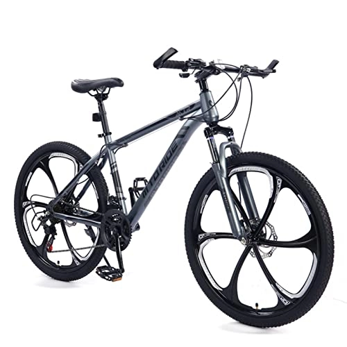 Vélo de montagnes : AZXV VTT Vélo Mécanique Dual-Disc-Freins Absorbant des Chocs Vélo MTB, 21 Vitesses, 26 Pouces Roues, Couleurs Multiples, vélo en Acier à Haute teneur en Carbone pour adul Grey