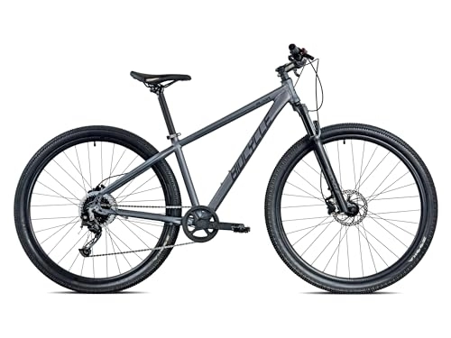 Vélo de montagnes : Biocycle Elixir H - Velo Tout Terrain | Fabriqué en Aluminium - Velo VTT à 9 Vitesses | Freins à Disque Hydrauliques | Roue 29'' (Gris, M)