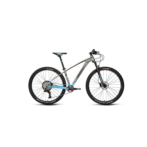 Vélo de montagnes : HESND zxc Vélos pour adultes VTT à grande roue de course à huile Frein à disque Vitesse variable Vélo tout-terrain pour hommes et femmes (couleur : gris, taille : petit)