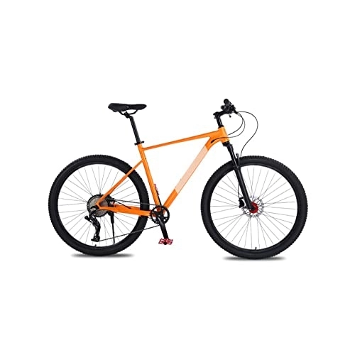 Vélo de montagnes : IEASEzxc Bicycle 21 inch Large Frame Aluminum Alloy Mountain Bike 10 Speed Bike Double Oil Brake Mountain Bike Front and Rear Quick Release (Color : Orange, Size : 21 inch Frame)