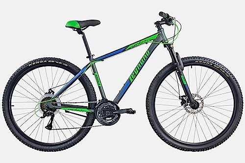 Vélo de montagnes : Legnano ANDALO, VTT 29 pouces pour homme, gris mat, bleu et vert, 50