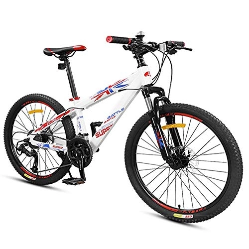 Vélo de montagnes : LNDDP Vélos de Montagne pour garçons, vélos de Montagne avec Double Disque de Frein, Cadre en Aluminium à Suspension Avant