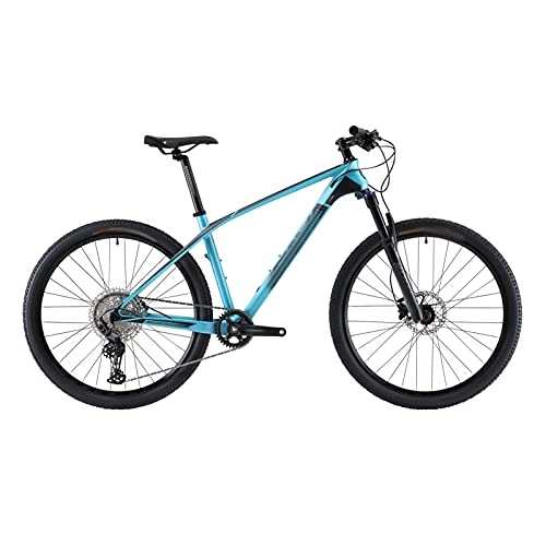 Vélo de montagnes : QILIYING Cruiser vélo VTT de Montagne 29 Pouces Vélo de Montagne pour Adultes Vélo de Montagne Vélo de Montagne VTT avec M610 30 Vitesses by (Color : Blue, Size : 29x15)