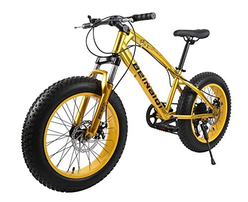Vélos de montagne Fat Tires : XCBY VéLo De Montagne, Fat Bike - 26 Pouces, Freins à Double Disque, Pneus Larges, SièGes RéGlables Gold-24Speed