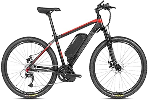 Vélos de montagne électriques : CASTOR Vélo électrique de 26 pouces - 48 V / 10 A - Écran LCD - Contrôle numérique - Pour l'extérieur, les voyages, les adultes