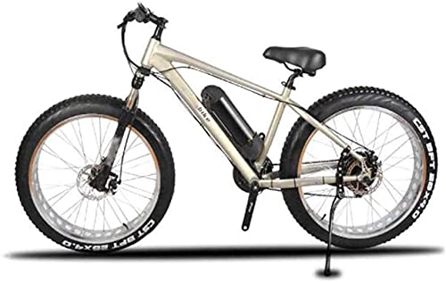 Vélos de montagne électriques : CASTOR Vélo électrique Vélos électriques vélo, diamètre de Roue de 26 Pouces 350W Vélos pour Adultes 21 Vitesse Sports Vélo en Plein air