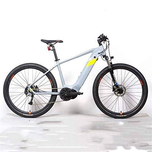 Vélos de montagne électriques : RDJM VTT Electrique, Vélos électriques, Alliage d'aluminium 36V14A vélo 250W Double Disque de Frein vélos Adultes Sports de Plein air (Color : Gray)