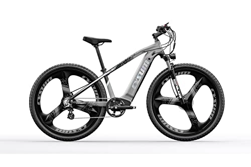 Vélos de montagne électriques : TOP-520 E-Bike 29 Pouces vélo pour Hommes(Gris)