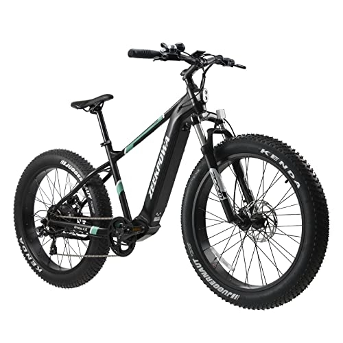Vélos de montagne électriques : Zeekpowa Vélo électrique pour Homme et Femme avec Moteur 250 W, vélo de Montagne électrique avec Batterie 48 V 10, 4 Ah 500 Wh Batterie avec Chargeur Frein à Disque hydraulique