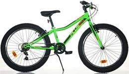 Dino Bikes Fat Tyre Mountain Bike BICICLETTA 24" MTB PLUS 24 VERDE