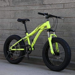 Hycy Fat Tyre Mountain Bike HYCy MTB Bicicletta Fat Tire Bike, Mountain Bike per Adulti e Adolescenti con Freni a Disco e Forcella Ammortizzata a Molla, Telaio in Acciaio al Carbonio