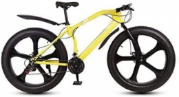 QZ Fat Tyre Mountain Bike QZ Mountain Bike della Bicicletta, 26 Pollici Ruote Fat Tire Bike MTB Hardtail, ad Alta Acciaio al Carbonio Telaio, Doppio Freno a Disco (Color : E, Size : 24 Speed)