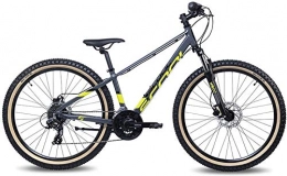 S.Cool Fat Tyre Mountain Bike S'Cool Xroc Disc Alloy 26R 24S - Mountain Bike per bambini, 40 cm, grigio / giallo