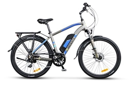 Argento Mountain bike elettriches Argento Alpha, E-Bike da città Uomo, Telaio 46 cm
