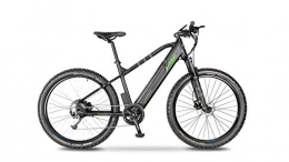 Argento Mountain bike elettriches Argento Bicicletta elettrica Performance Mountainbike, Unisex Adulto, Nero e Verde, taglia unica