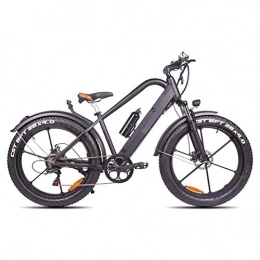 AINY Mountain bike elettriches Bici Elettrica Fat Tire 20 4" con Batteria A 48V 500W 15Ah agli Ioni di Litio, City Mountain Bicycle Booster 100-120Km