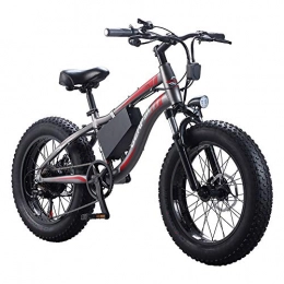 Wheel-hy Bici Wheel-hy Bici elettriche da Uomo Cruiser Fat Bicicletta 350W*36V*10.4AH Fat Tire 20" Cambio Shimano 21 Marce, Freni Idraulici