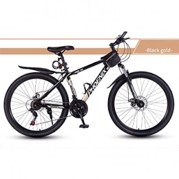 CPY-EX Bici CPY-EX Mountain Bike, 26 Pollici Ruote Diametro Bici, 24 velocità, Disc Brake System, Acciaio al Carbonio Telaio, D