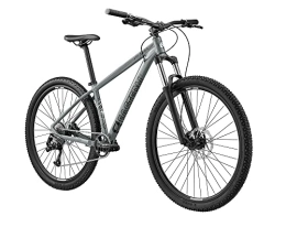 Eastern Bikes Alpaka - Mountain bike in lega per adulti, 29", colore: Grigio