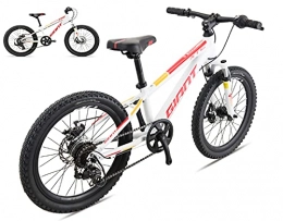 HFDJ Bici GIANT XTC 20-D mountain bike in alluminio da 20 pollici, impugnatura piatta a 7 velocità, freno a disco del telaio e forcella anteriore ammortizzata, adatta per bambini di altezza 120-135 cm biciclet