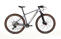 Lobito Mountain Bike LOBITO MT10 (17, grigio)