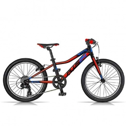 Mediawave Store Bici 24 MTB Plus Dino Bikes Art. 424-UP 9-13 Anni Mountain Bike con Ruote Fat 6V