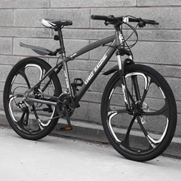 AISHFP Bici Mountain bike per adulti, ad alta acciaio al carbonio Telaio Beach biciclette, doppio freno a disco Off-Road di neve, 24 pollici sei coltelli in lega di magnesio integrata Ruote, Grigio, 27 speed