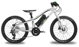 ben-e-bike Bicicletas de montaña eléctrica ben-e-bike Twenty E-Power 2020 - Bicicleta eléctrica infantil
