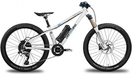 ben-e-bike Bicicletas de montaña eléctrica ben-e-bike TWENTYFOUR E-Power Pro
