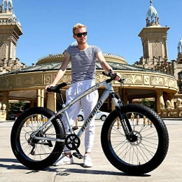 ZWR Bicicleta ZWR – Bicicleta de montaña para hombre, 24 / 26", rígida, marco de acero de alta resistencia, freno de doble disco, bicicleta para adultos, color plata, tamaño 24inches 27 speed