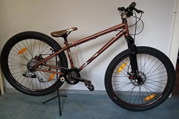 SPECIALIZED p.2 Cro-Mo – 2010, Brown – Dirt Bike 2010
