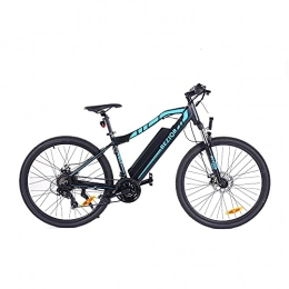 Bezior Electric Mountain Bike Bezior M1 Electric Bicycle 80 km Mileage Pedal Mode 250 W Motor 48 V 12.5 Ah Battery 5 in Smart Meter 5 Speed Transmission
