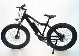 CityEbike Electric Mountain Bike Electric Bike 36V Lithium-ion Built in Battery Electric Motor Bicycle Ebike 26 - M1226F (Matt Black)