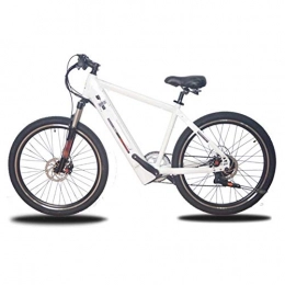FZYE Electric Mountain Bike FZYE 26 inch Electric Bikes, 36V 10A 250W high speed brushless motor Adult Boost Bicycle Sports Outdoor Cycling