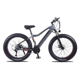HMEI Bike HMEI EBike 26" Fat Tire Ebike Adults 500W Electric Bicycle with Removable 48V 10AH Lithium Battery 21.7 MPH Snow Beach Mountain E-Bike 27-Speed (Color : 48V 750W)