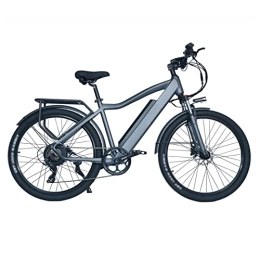 IOPY Electric Bike For Adults With Removable Battery, 26''Commuting Electric Mountain Bike For Jungle Trails Snow Beac (Color : Silver grey, Size : 48V/15A)