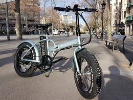 Marnaula, S.L Electric Mountain Bike MONSTER 20 - The Folding Electric Bike - Wheel 20" - Motor 500W, 48V-12ah - LCD on-board computer with 9 help levels - Chassis: Aluminium - To roll on the snow or the sand (SILVER PLATE)