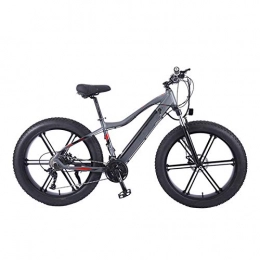 YZT QUEEN Bike YZT QUEEN Electric Bikes, 27-Speed Aluminum Alloy Mountain Gold Bicycle, Thick-Wheeled Snow Bicycle, 26" 36V 10AH 350W Hidden Removable Lithium Battery Bicycle, Gray