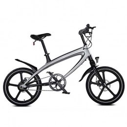ZBB Electric Mountain Bike ZBB Electric Bicycle 20 Inch Electric Mountain Bike for Adult with 36V Lithium-Ion Battery Intelligent Meter Bluetooth Audio Aluminum Alloy Frame 250W Powerful Motor, Silver